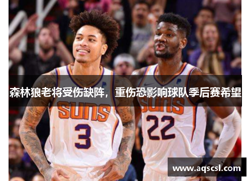 森林狼老将受伤缺阵，重伤恐影响球队季后赛希望
